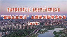 “宣城企业家日”系列新闻发布会（第三场）